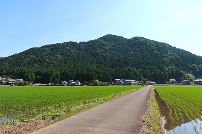 丹波岳城 遠景（西より）