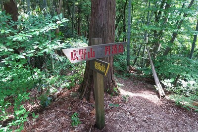 丹波岳城 登山道の道標