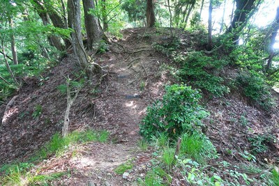 丹波岳城 北の二重堀切の一本 堀切土橋