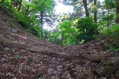 丹波岳城 北の堀切土橋を横から