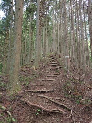 霧山城登山道