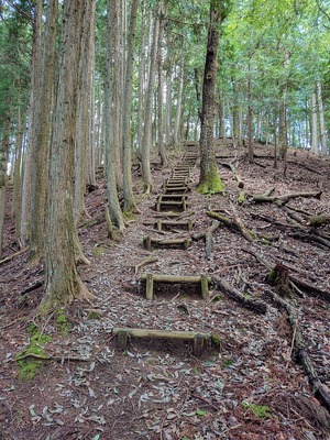 霧山城最後の直登