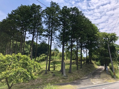 城趾遠景（南西から）