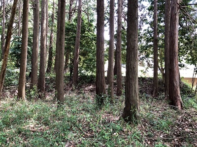 医王寺本堂西側の土塁