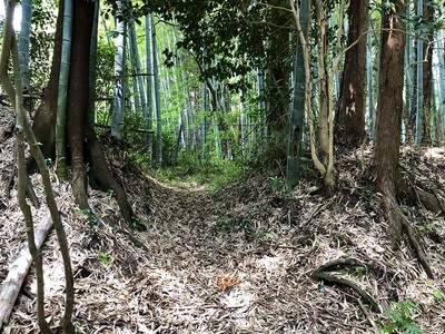 本堂東側の郭北側の虎口