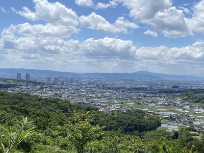 主郭からの眺望