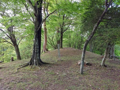 南曲輪群(鐘撞堂跡)風景