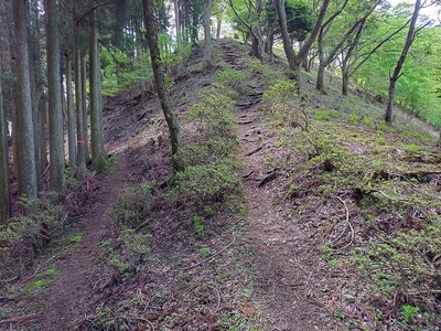 北側から眺める南曲輪群(鐘撞堂跡)