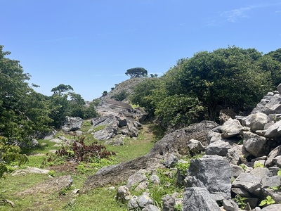 登城道から見た大隅郭