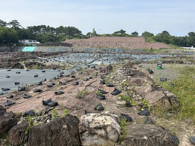 天守台発掘調査全景