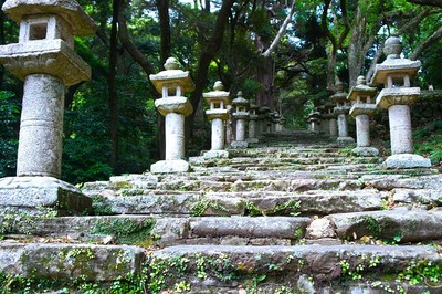 百雁木(万松院)