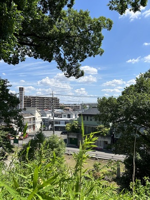 川越城富士見櫓跡からの風景