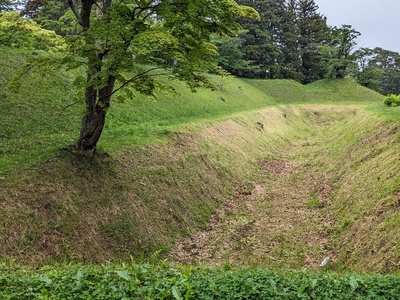 土塁と堀(表御殿手前の土橋から)