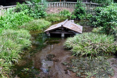 木曽三社神社 湧玉