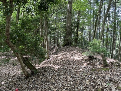 照福寺跡の土塁