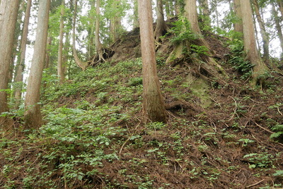 東側切岸