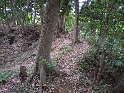 馬出曲輪と東二の曲輪を繋ぐ土橋