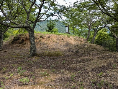 出丸の主郭の土塁