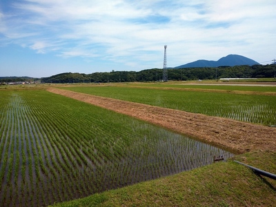 城跡の田んぼ