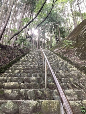 城跡へ向かう階段