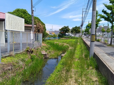 堀跡の可能性がある水路