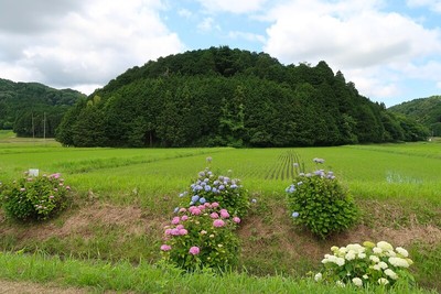 中出山城 遠景（北より）