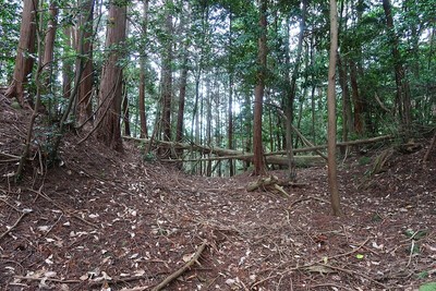 中出山城 主郭南の堀切