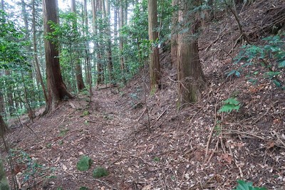 中出山城 横堀