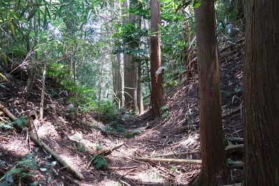 永井氏城 北の堀切