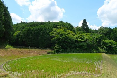 永井氏城 かつての入口（東より）