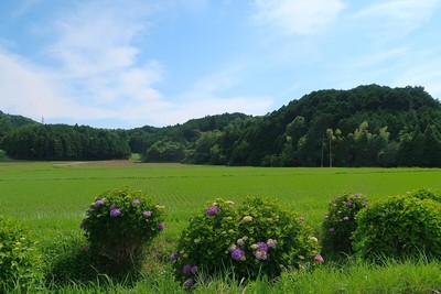 永井氏城 遠景（北より）