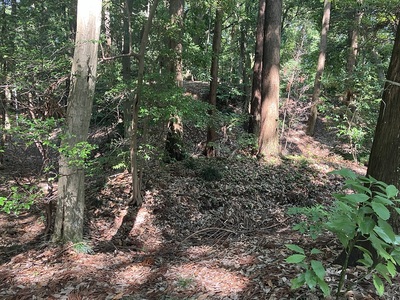 副郭の土塁(奥)と堀(中央)と腰曲輪の土塁(手前)