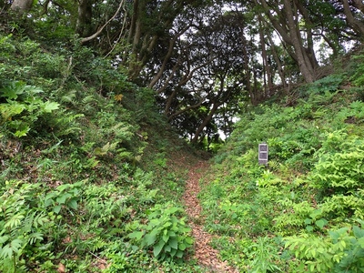 本丸と二の丸を隔てる空堀