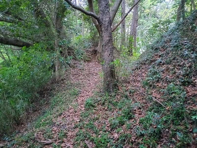 本丸南西側の登城路