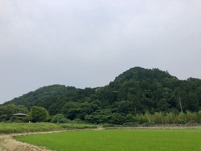 城趾遠景（北から）