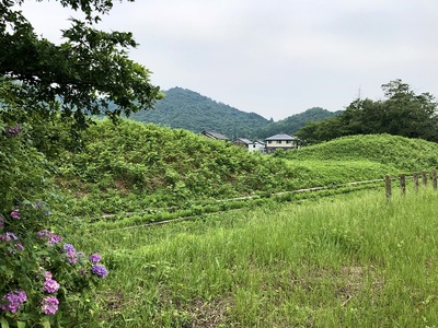 後藤氏館跡、土塁と堀