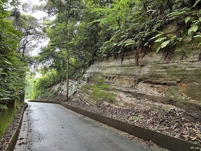 縄張り台地へ上がる道の切り通し