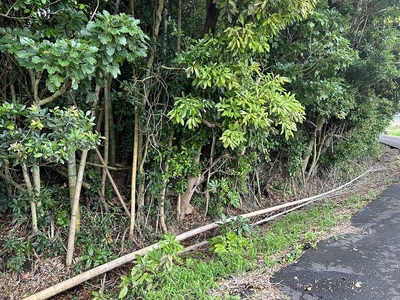 東漸寺北縁の堀跡