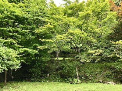 削平地下段から上段を見上げる