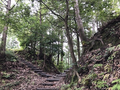 茶臼山見張り台前の堀切