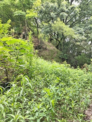 阻まれた登城道