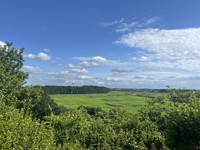 櫓台跡からの眺望