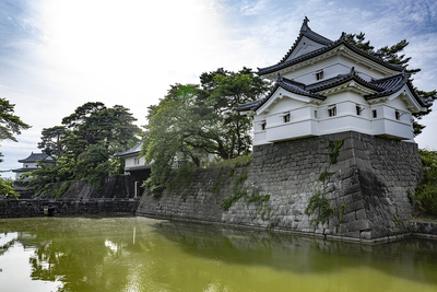 本丸近景、夏至