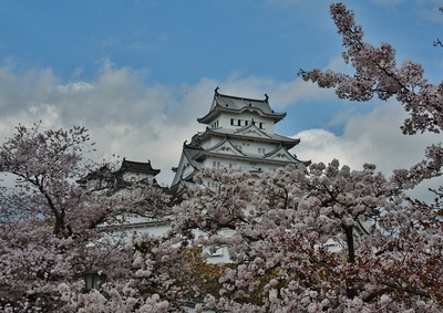 桜が似合う白鷺城