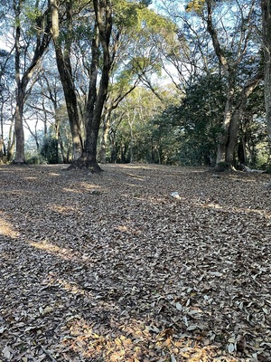 城址風景