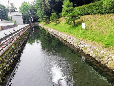 東門から見た水堀(北側から)