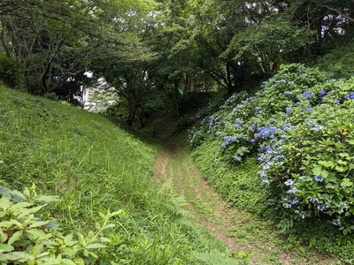 三の郭土塁と外堀