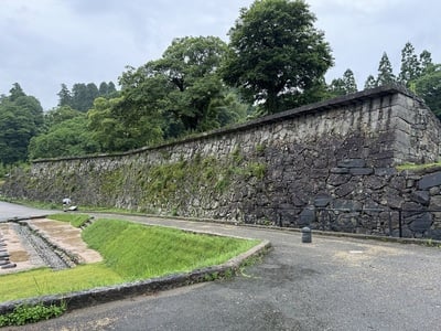 長大なはね出しの全景