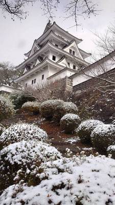 雪の郡上八幡城