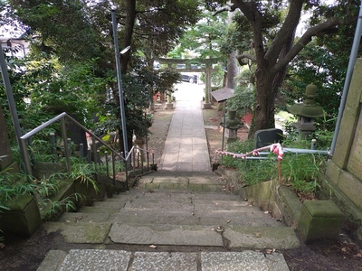 稲荷神社本殿からの眺望